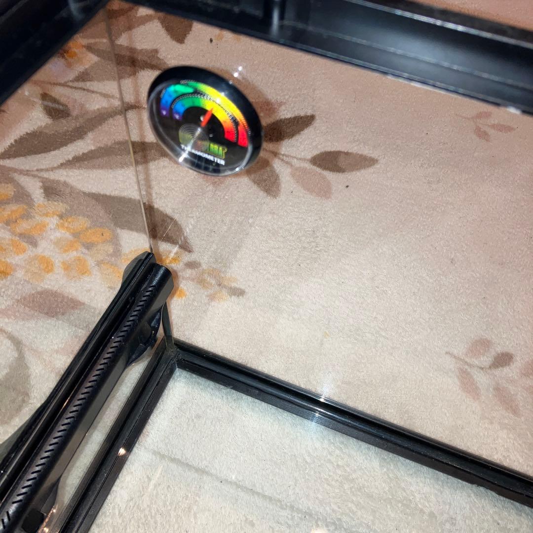 EXO TERRA（エキゾテラ） レオパ飼育キット／グラステラリウム3030