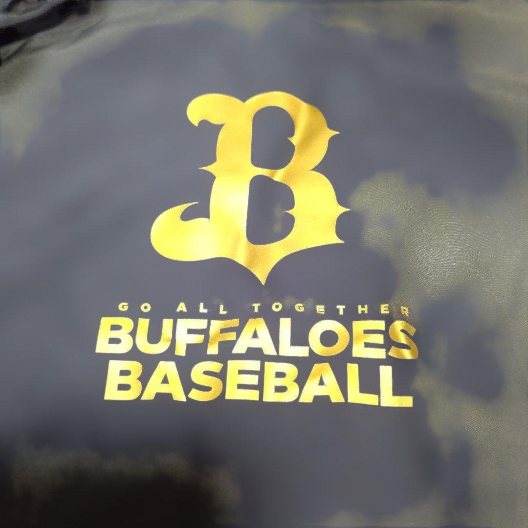 （新品）DESCENTE BUFFALOES オーセンティック パーカーＬ