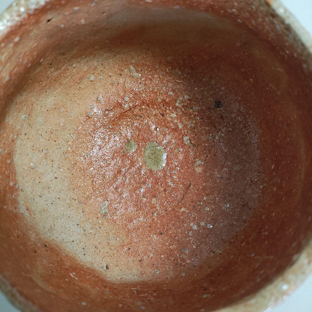 紫香庵水月(杉本貞光)　信楽茶碗