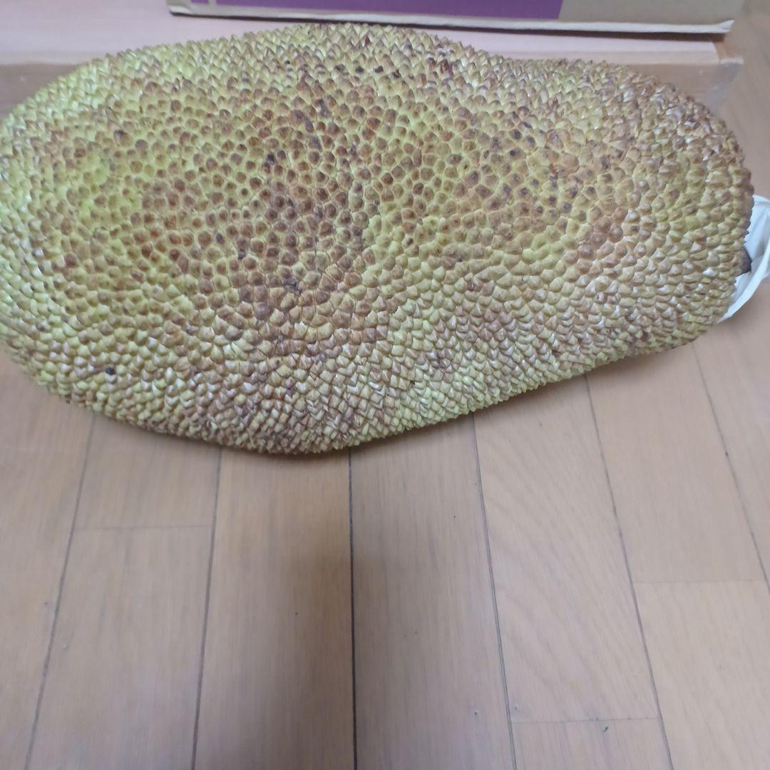 大きいジャックフルーツ