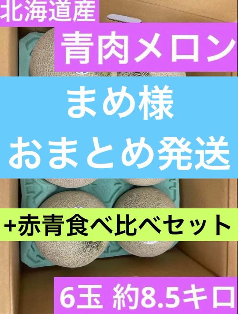 ②【北海道産】青肉メロン （品種名：らいでんクラウン) 6玉　約8.5kg