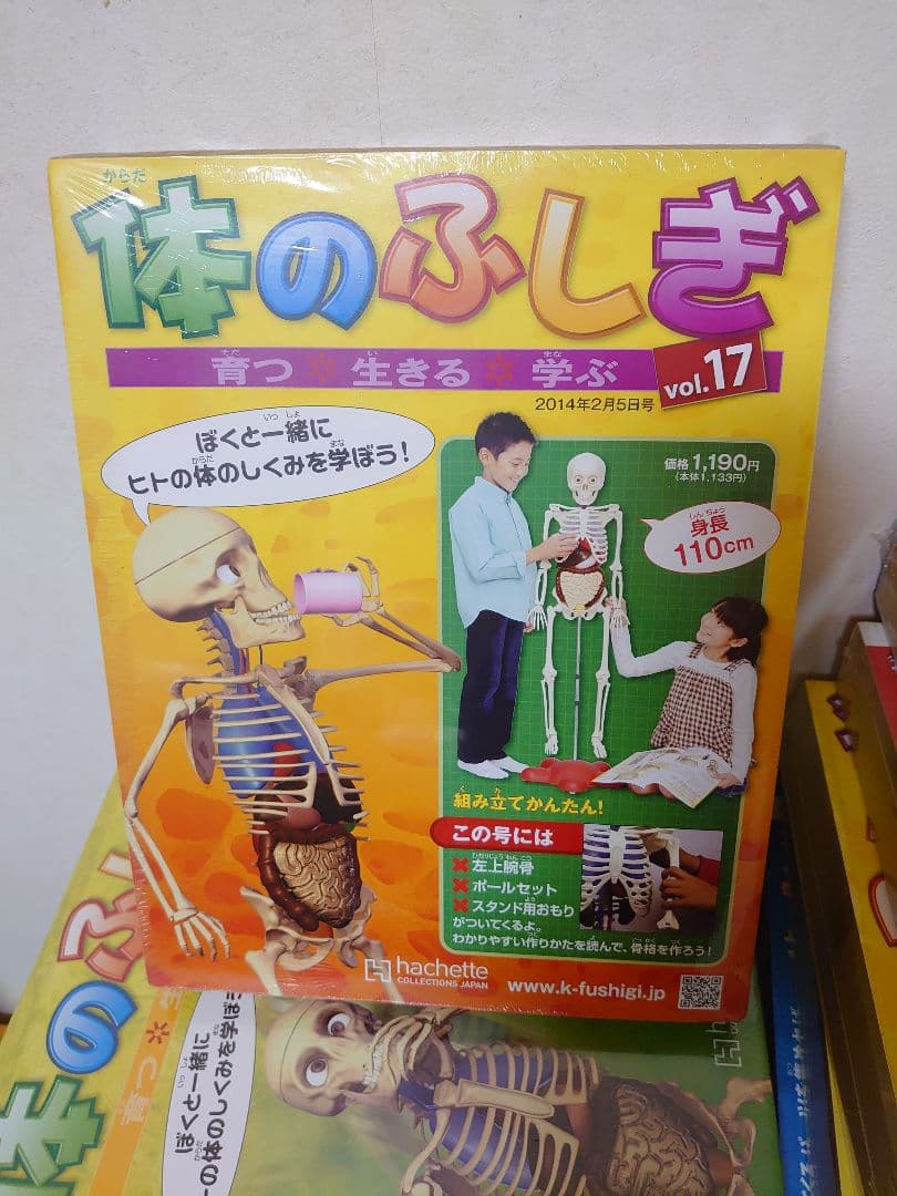 アシェット ・コレクションズ・ジャパン 体の ふしぎ