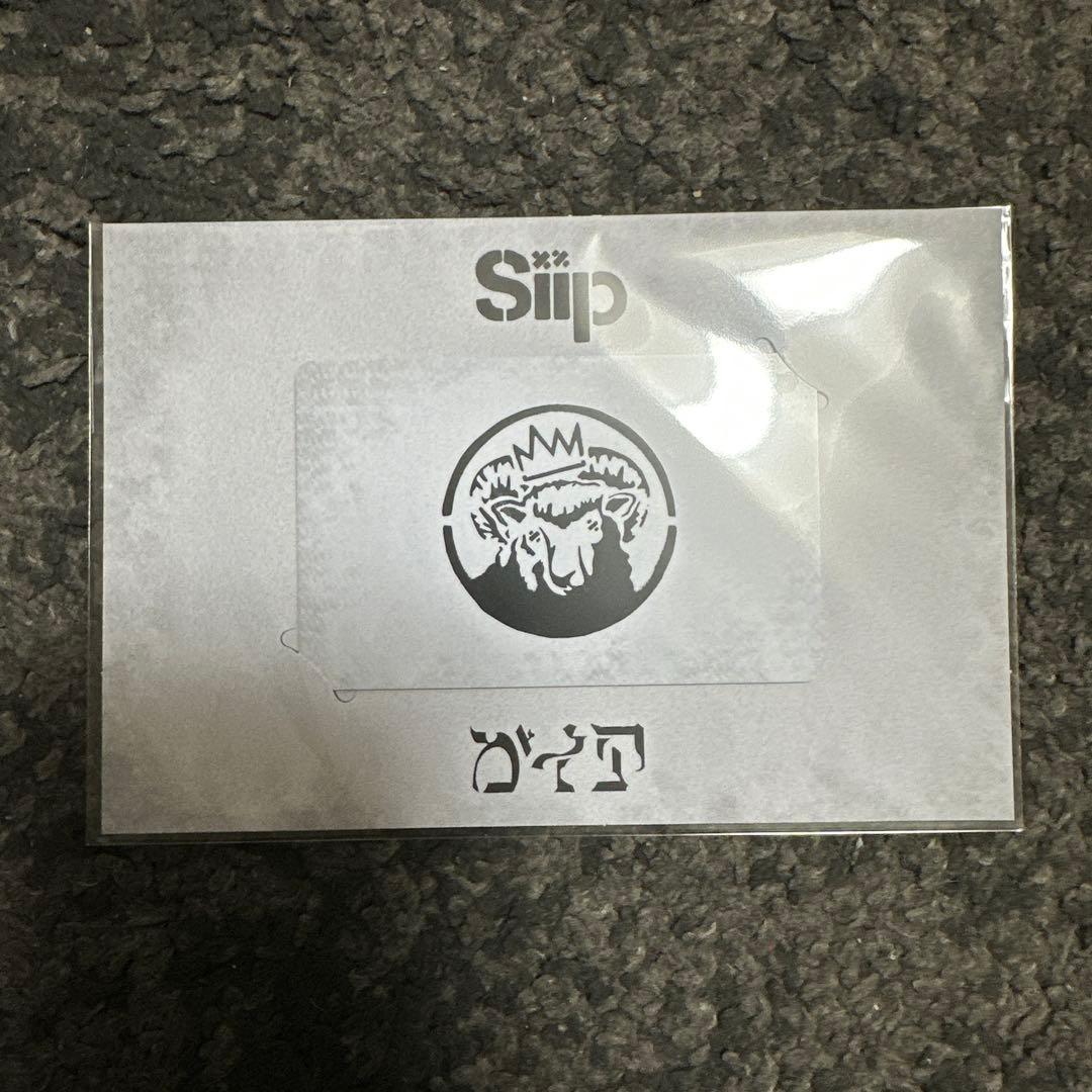 Siip ガイア PlayPASS PAK ダウンロードカード 未使用　未開封