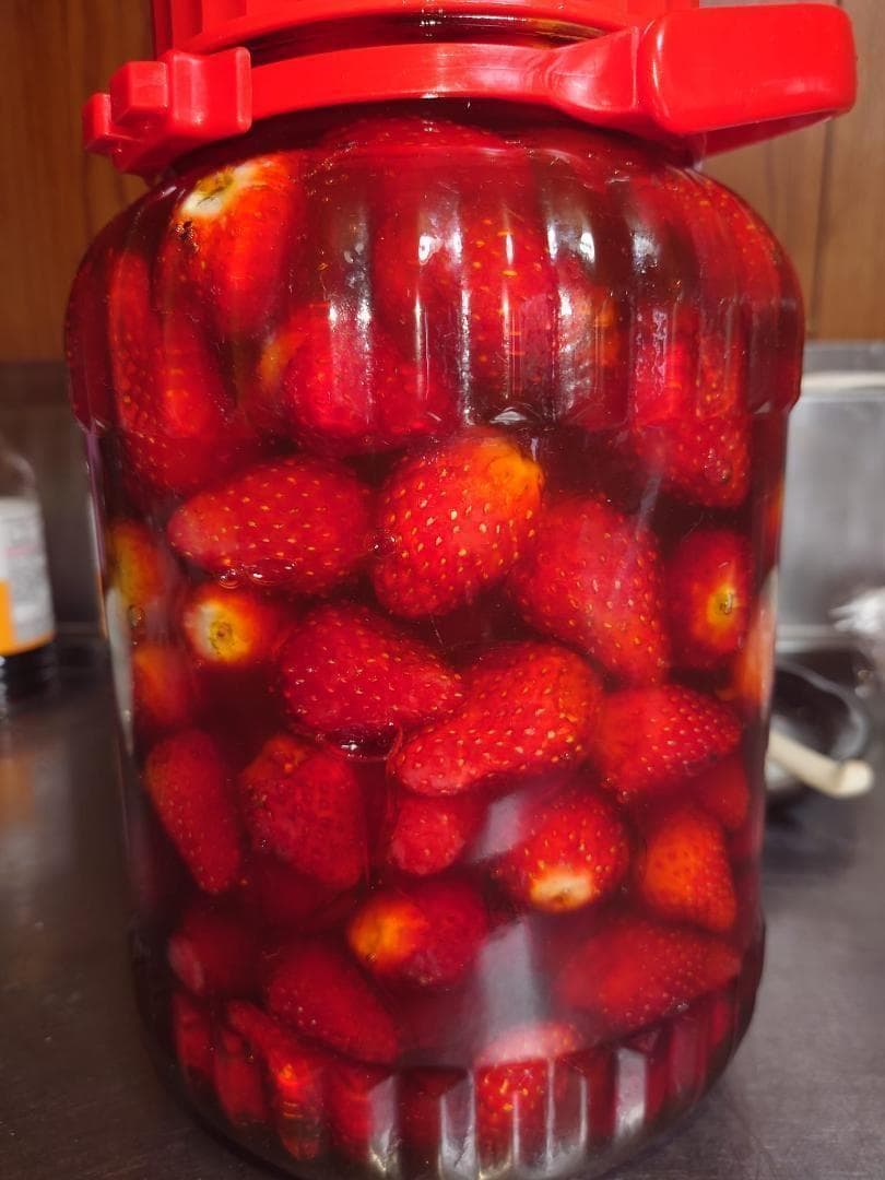 プロが絞った濃厚な味わいの国産百花蜜 　梅酒瓶入り　おまけ付　生産者価格で大放出