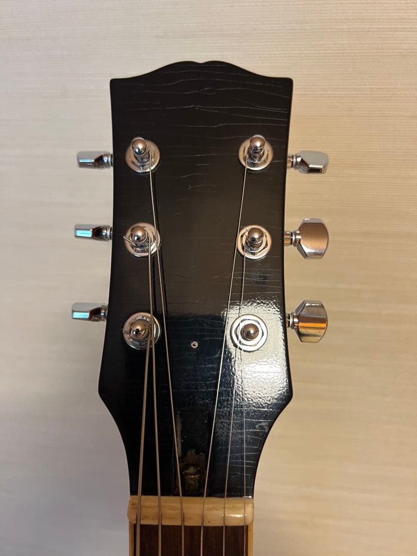 ギター Sword 1959 SLS Relic Greeny Inspired