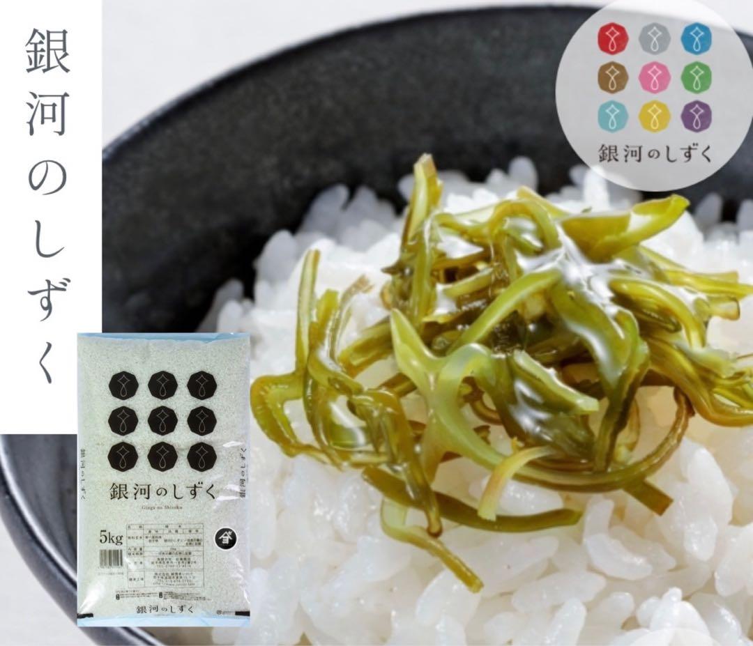 米　白米【岩手県産銀河のしずく10kg】 (5kg×2) 7年連続特A評価！