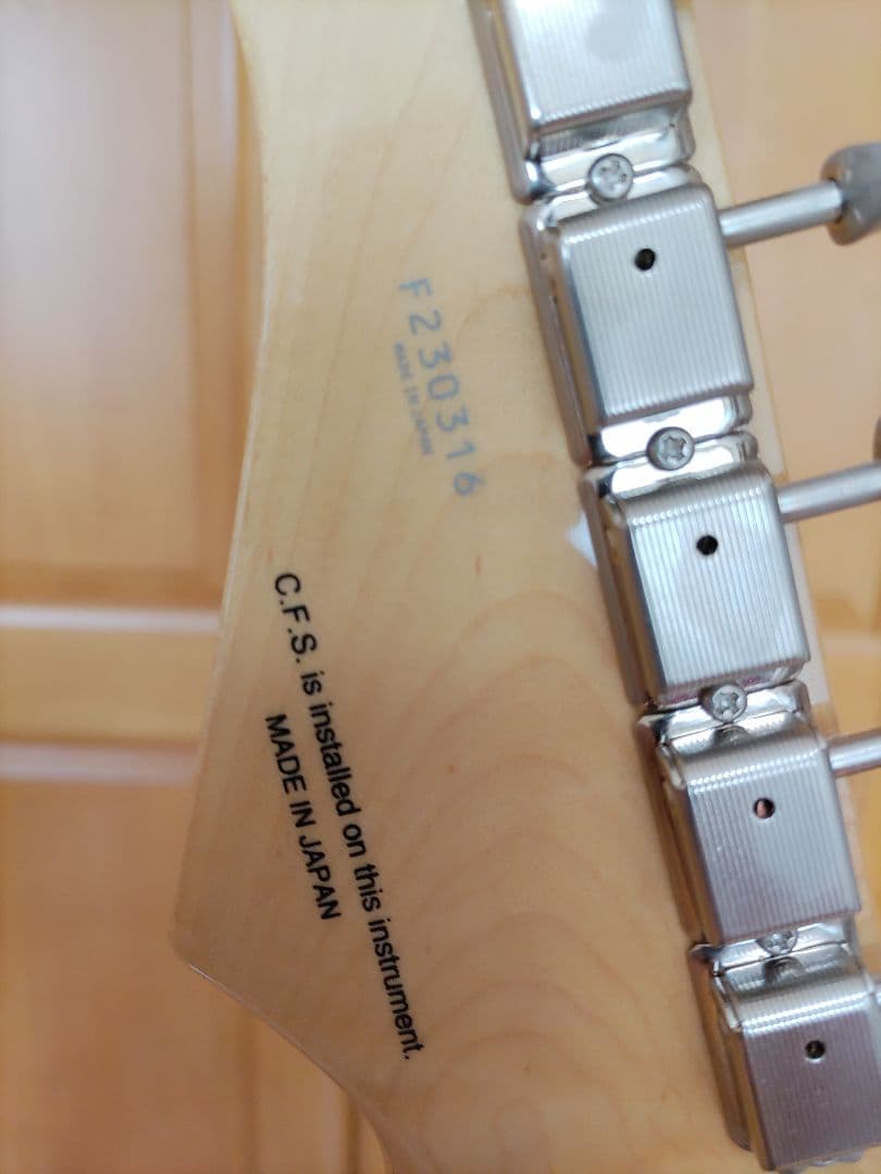 フジゲン　Neo Classic　NTE210RAH-SBB テレキャスター