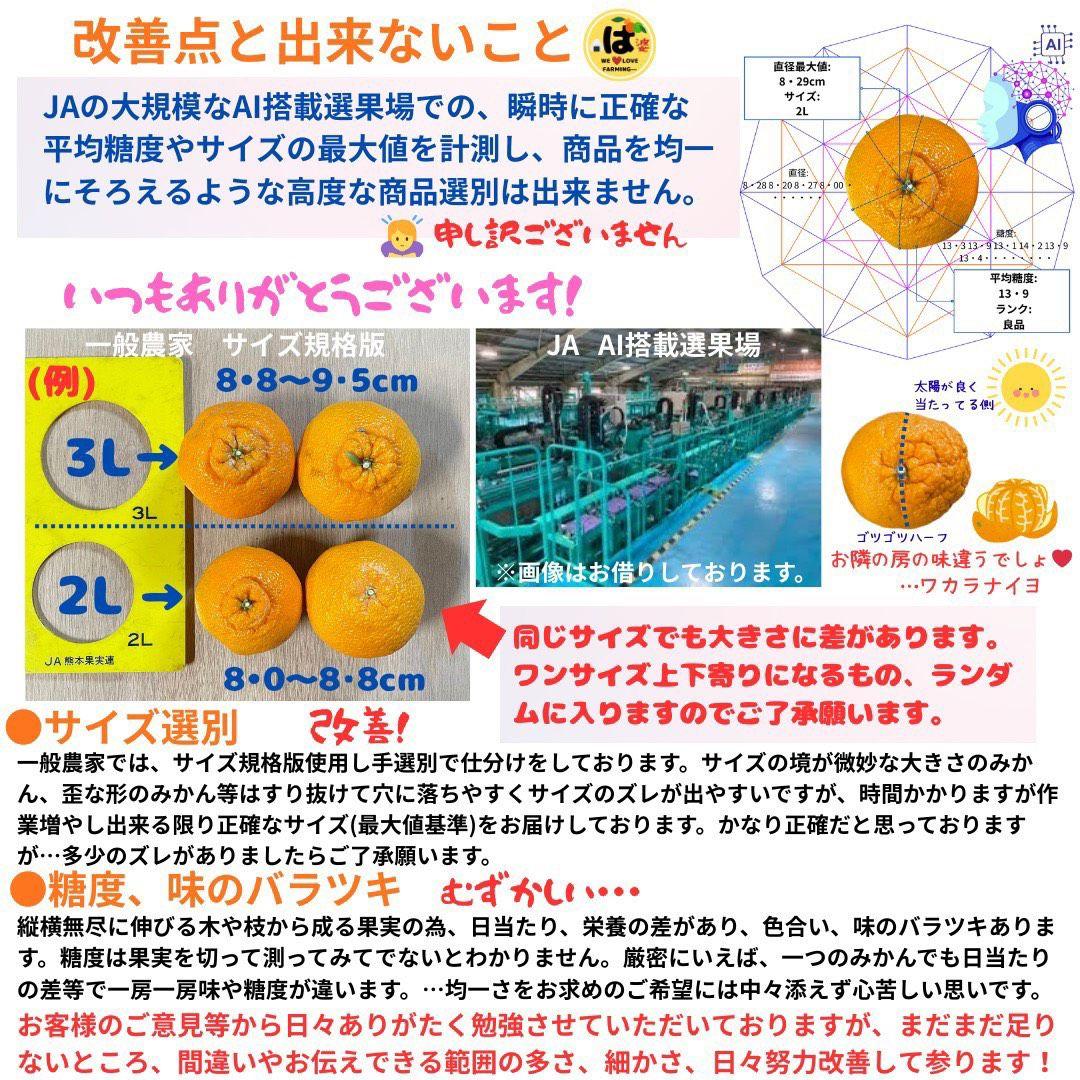 ※確認用　訳あり　大玉MIX箱込み9.5kg以上【露地栽培　不知火　デコポン】