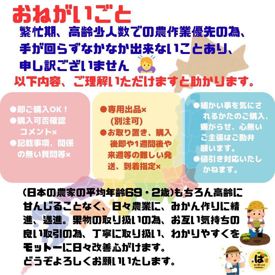 ※確認用　訳あり　大玉MIX箱込み9.5kg以上【露地栽培　不知火　デコポン】