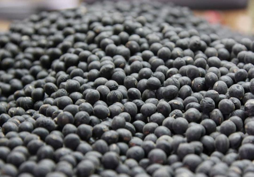 えびちゃん 令和7年産　丹波黒大豆　特大1キロ　九谷焼き小皿5枚