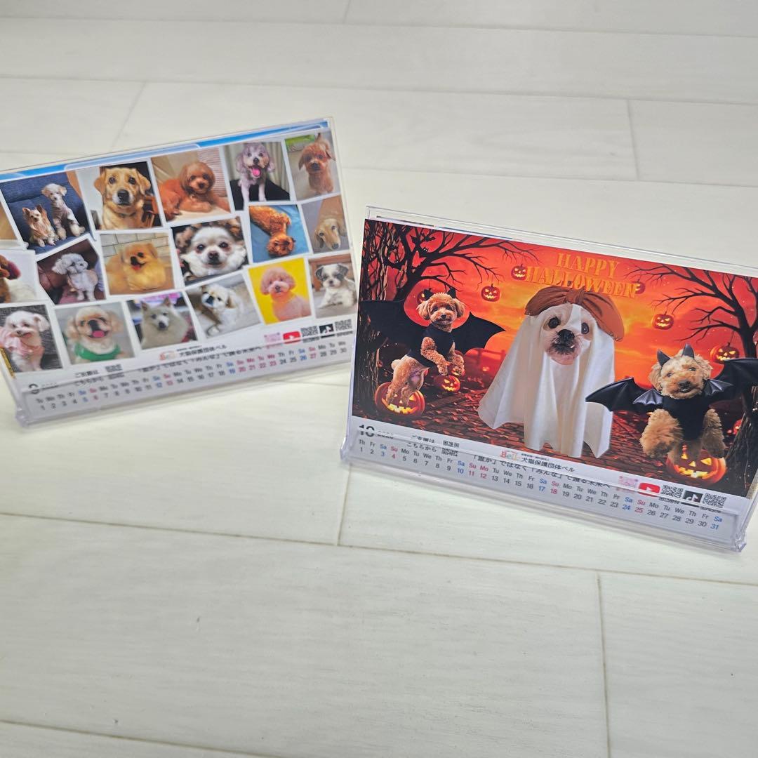 ①『犬』 卓上チャリティーカレンダー10枚セット