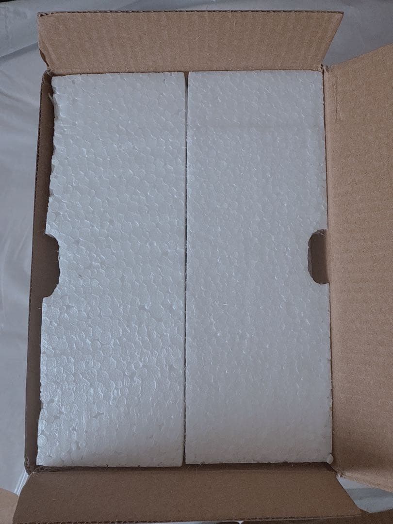 未使用未開封 グレムリン ギズモ フィギュア 箱付 正規品