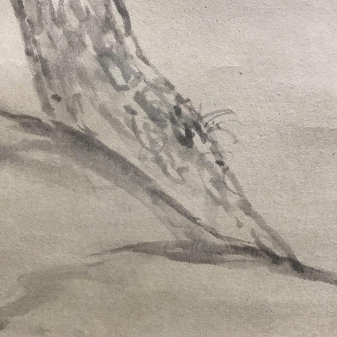 K茶道具　掛軸　「清旦松籟」　古楊作　共箱　S1006KJ