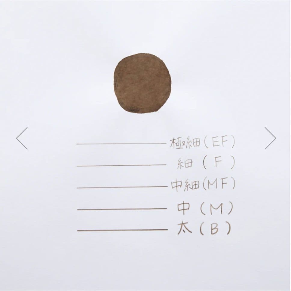 アンコーラ　コーヒーフロート　万年筆　数量限定　F　細字