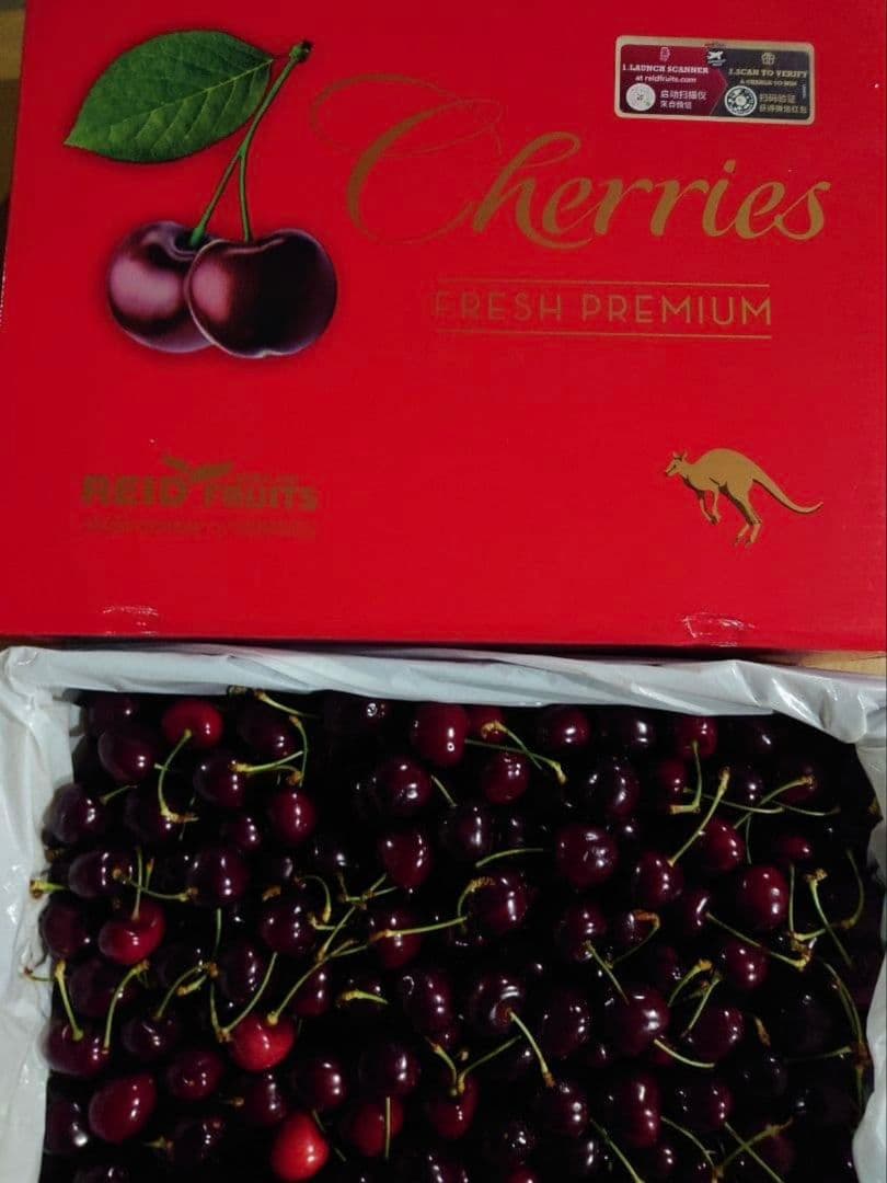 大玉タスマニアチェリー　5キロ