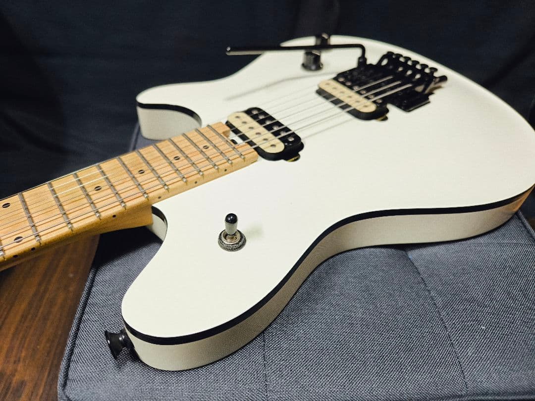 EVH Wolfgang Special エレキギター ソフトケース付