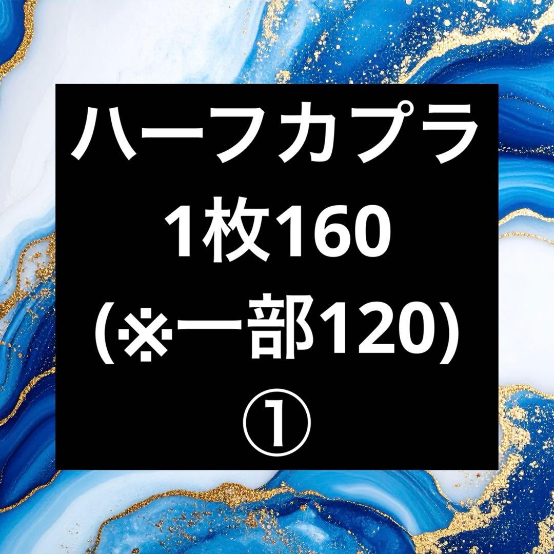 ハーフカプラ ①