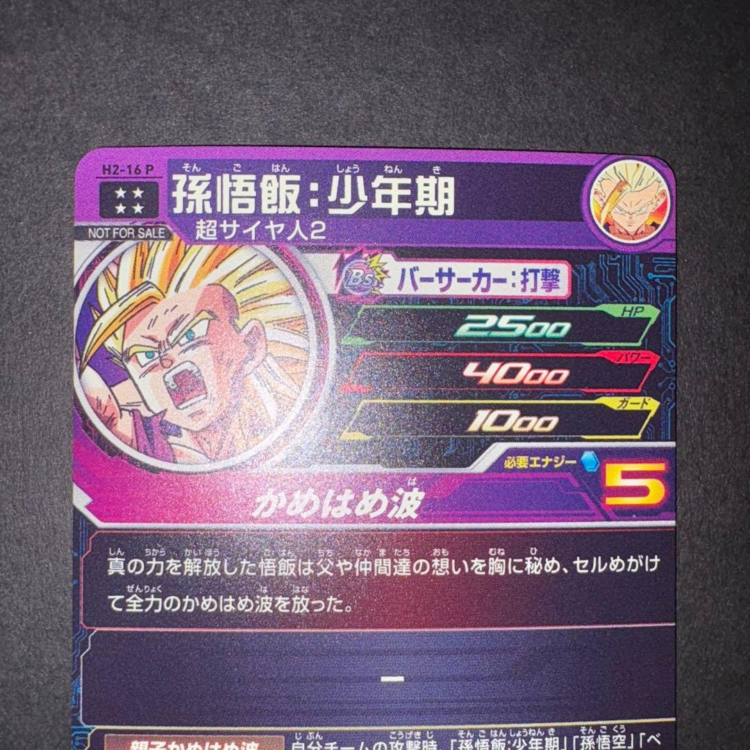 H2-16 P 孫悟飯少年期