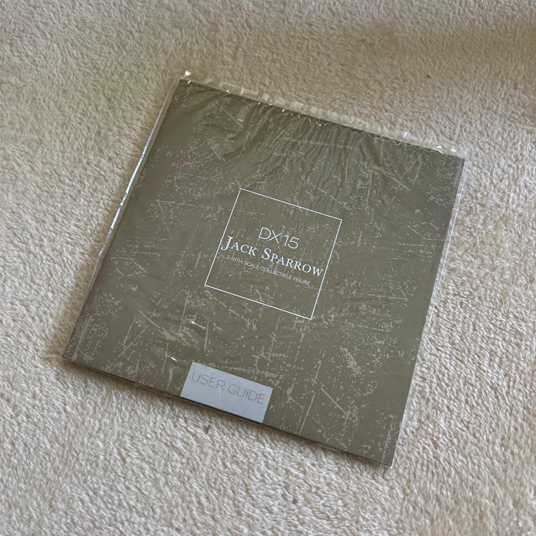 【超激レア品】DX15 1: 6 パイレーツ　フィギュア
