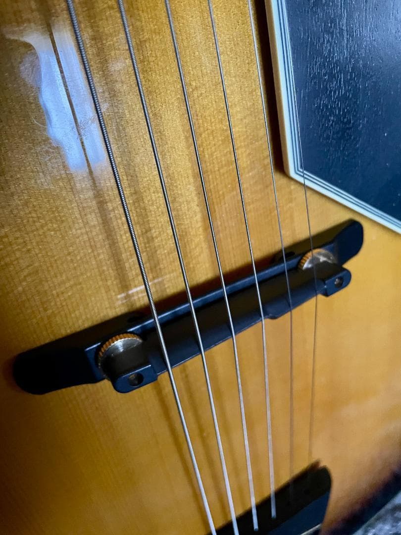 Peerless Monarch オール単板 フルアコ アーチトップ 17インチ