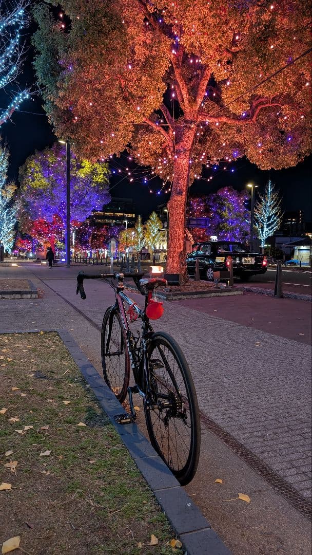 PantherZEUS2.0　ロードバイク　完成車