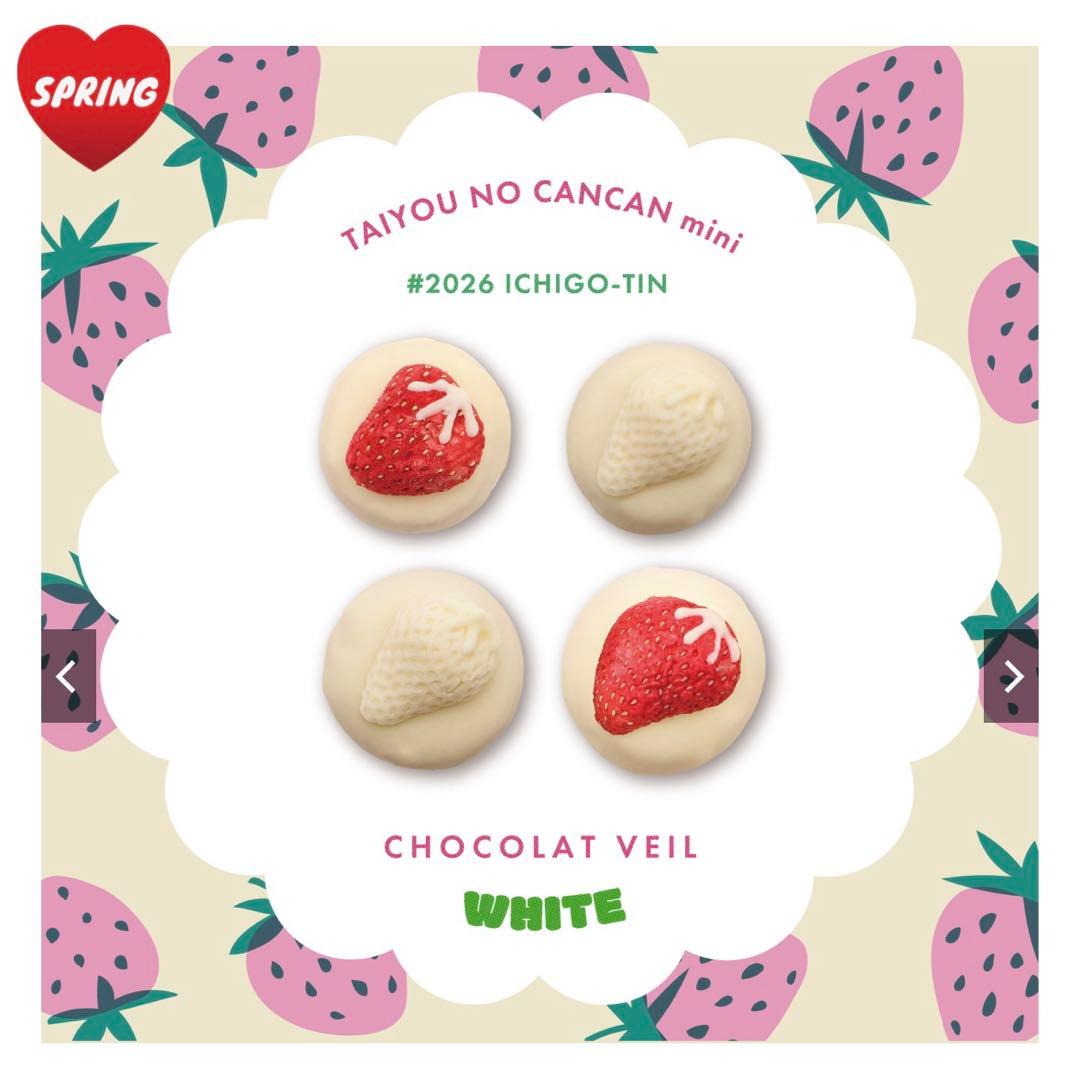 タイヨウノカンカン mini いちご缶 ビター ホワイト 太陽の塔 2つセット