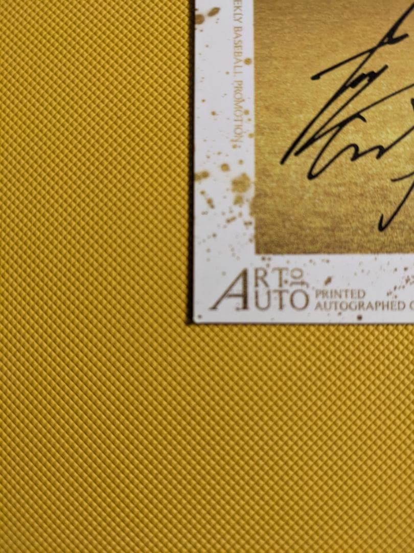 プロモ BBM 2014 1st 印刷サインパラレル WB1