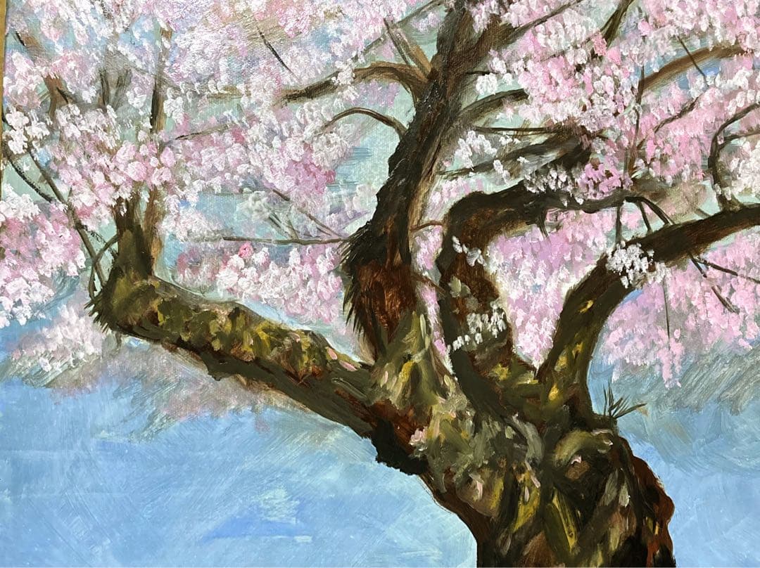 油彩画　「　さくらとこぼれ陽　」　原画　F6号