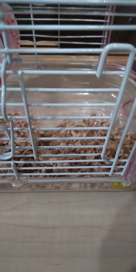 ハムスター飼育セット 移動ケージ付き