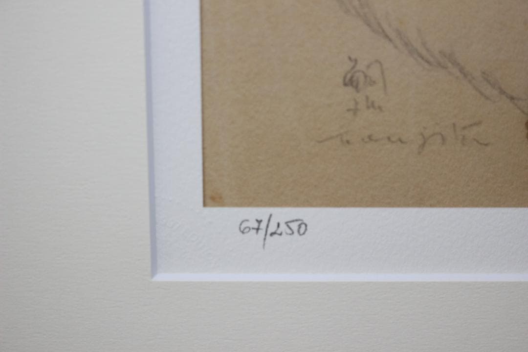 藤田嗣治 エスタンプリトグラフ「座る猫」 67/250