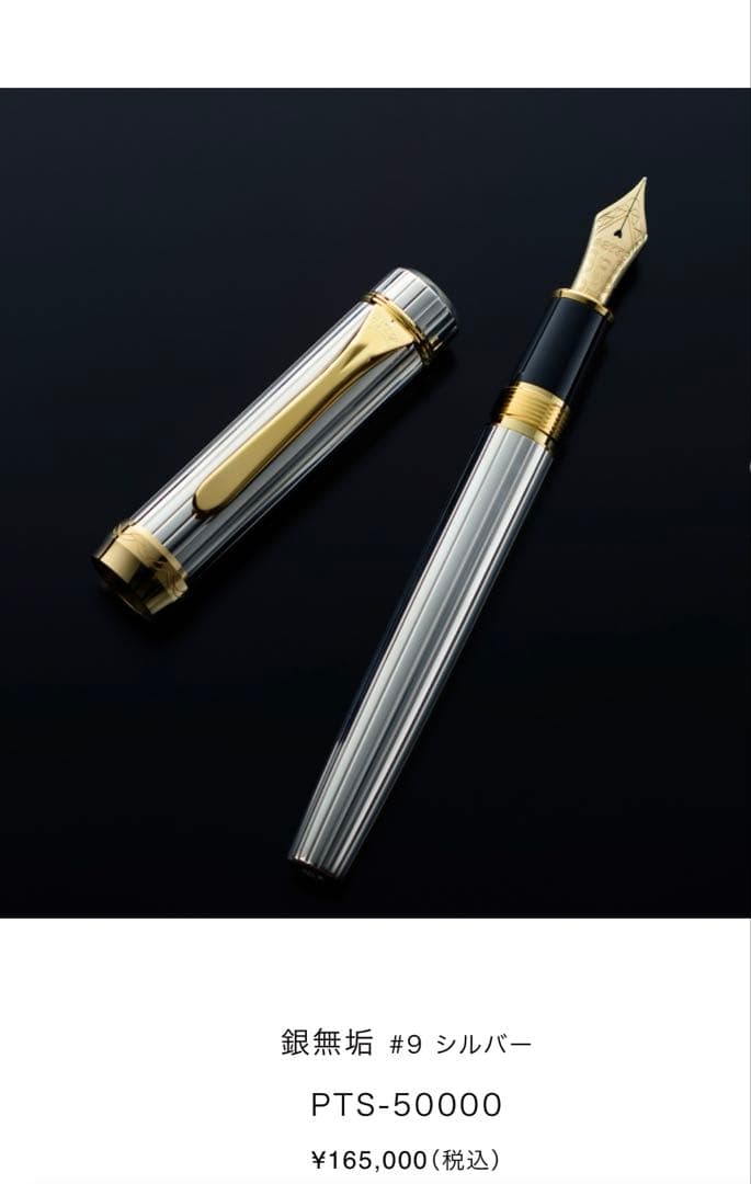 Platinum プラチナ万年筆 銀無垢 PTS-50000 新品