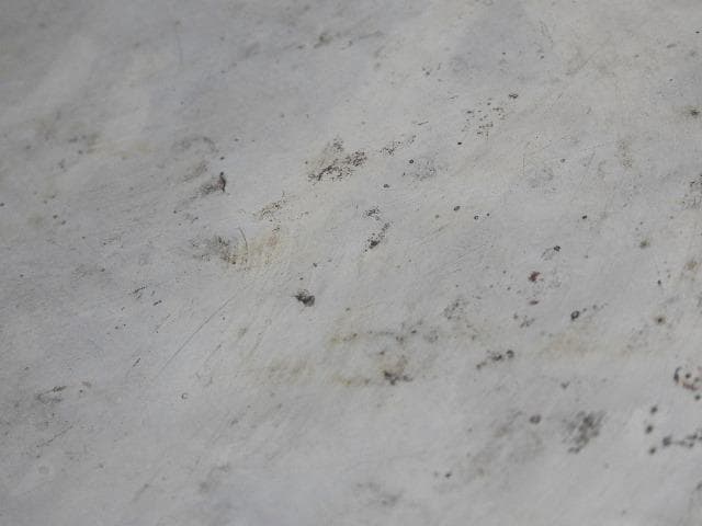 銅鏡　南天果実鶴亀　M685