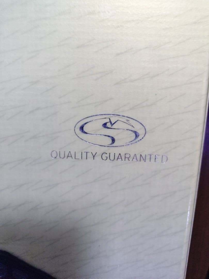 スノボー板SALOMONサロモン