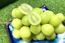 かっじょ出品【岡山産】 5kg 甘い高級シャイン　!特大粒.大房 7房