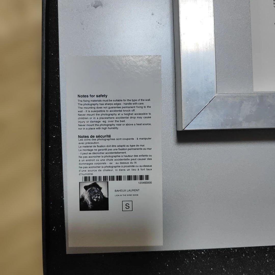 YELLOWKORNER フォトアート　ライオン　アクリルフォト