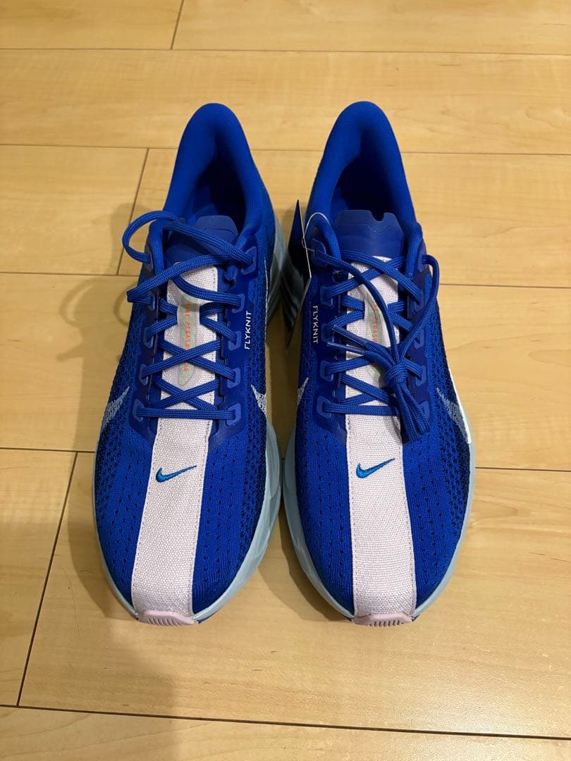 【新品未使用】NIKE ペガサスプラス 29.0cm 青