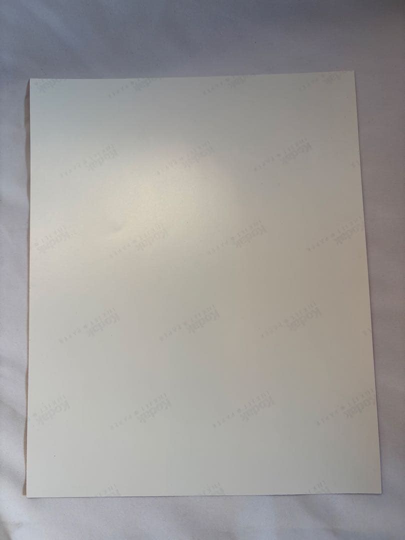 キャメロンディアス　直筆サイン