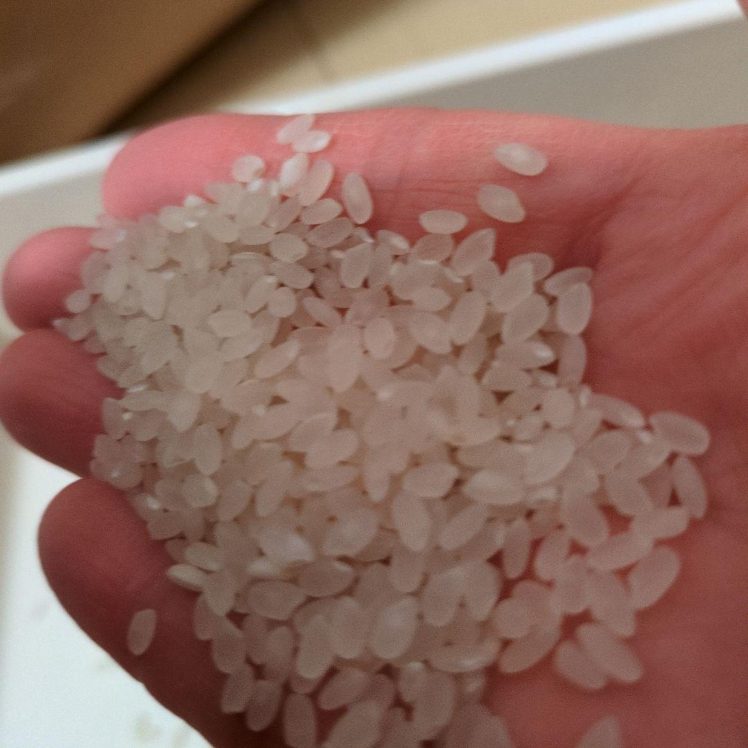 秋田県産 7年産あきたこまち 精米９キロ