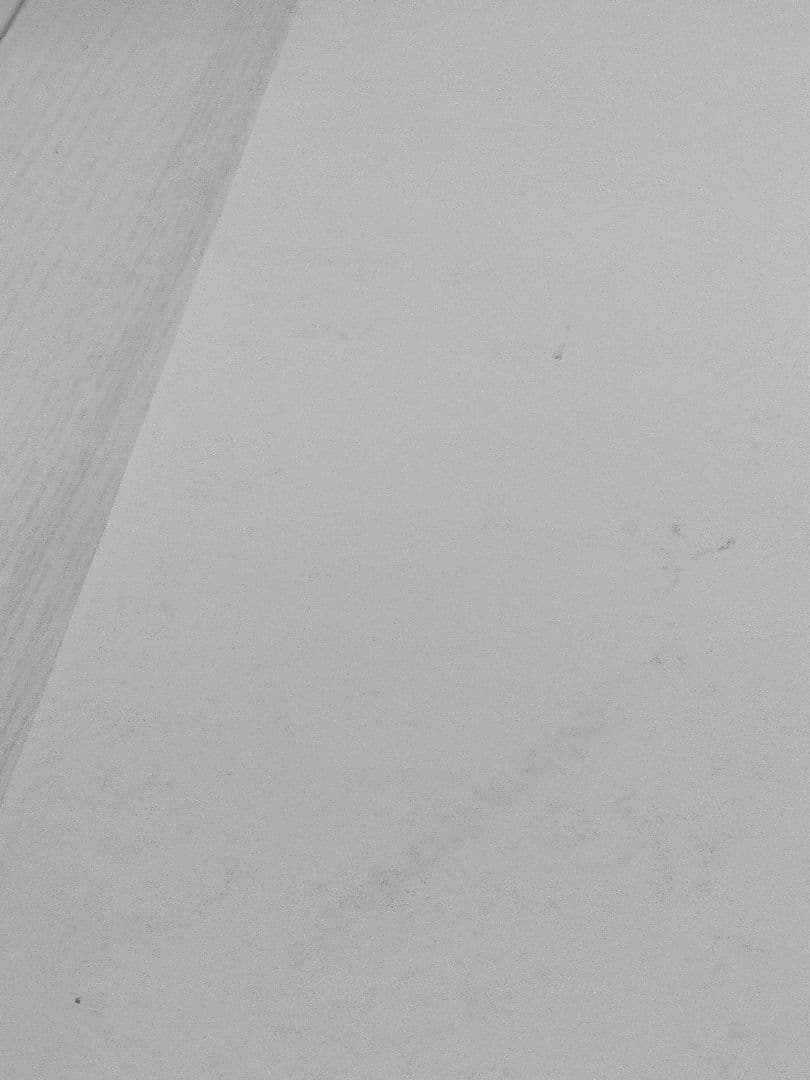 TOOL GREEN JELLO サイン入り ポスター 1991トゥール