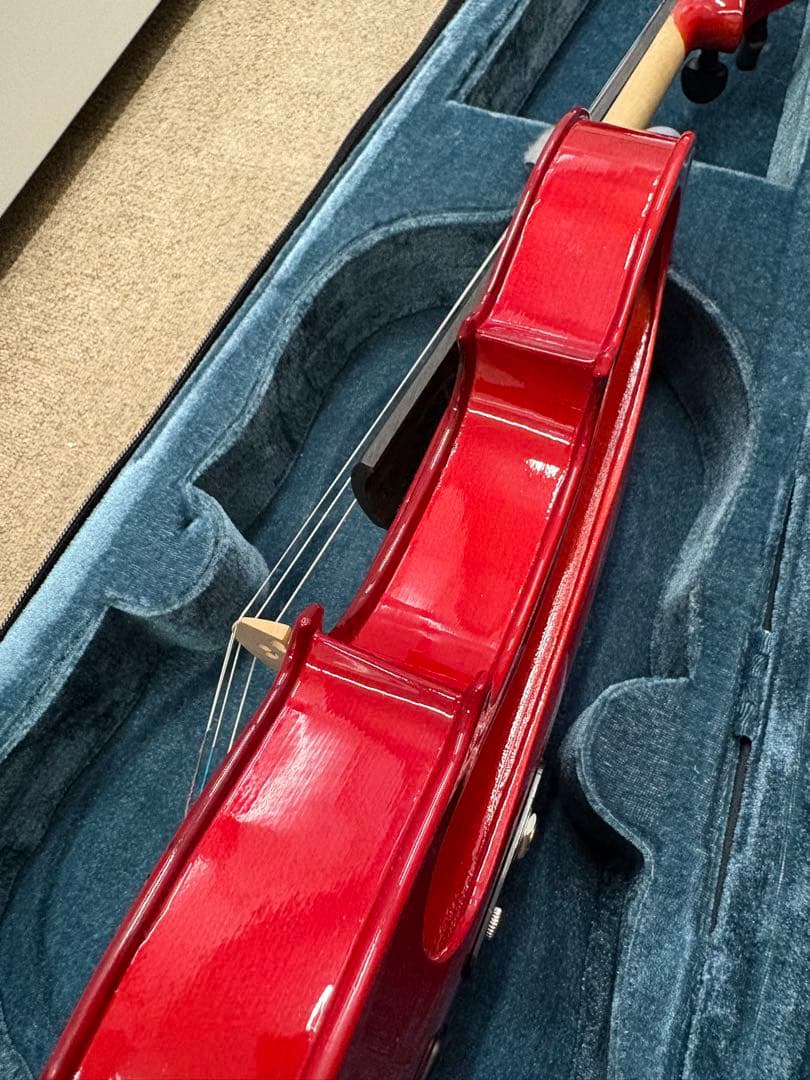 Carlo Giordano カルロジョルダーノ EV-202 エレキバイオリン