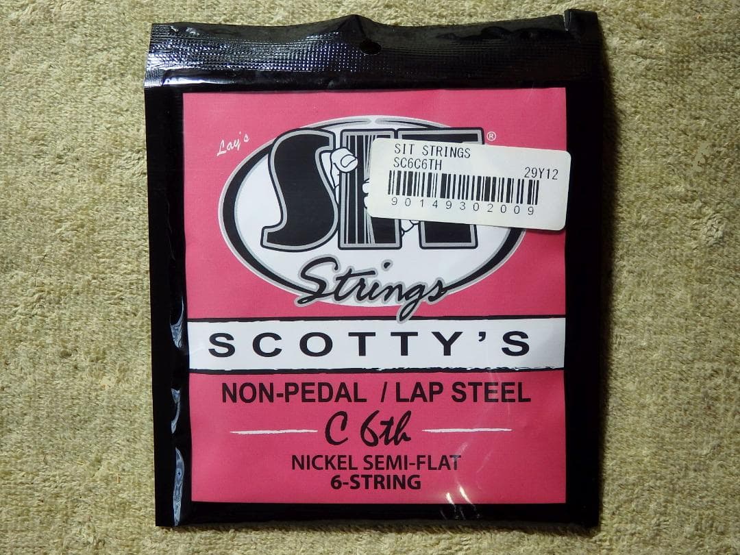 ギター Rickenbacher Electro B6 Lap Steel