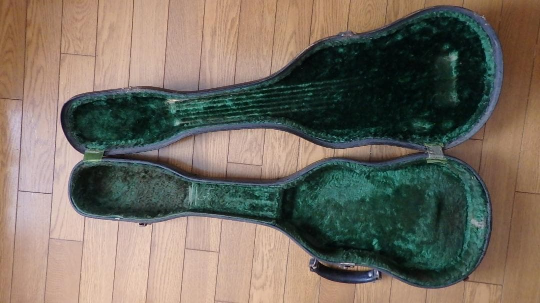 ギター Rickenbacher Electro B6 Lap Steel