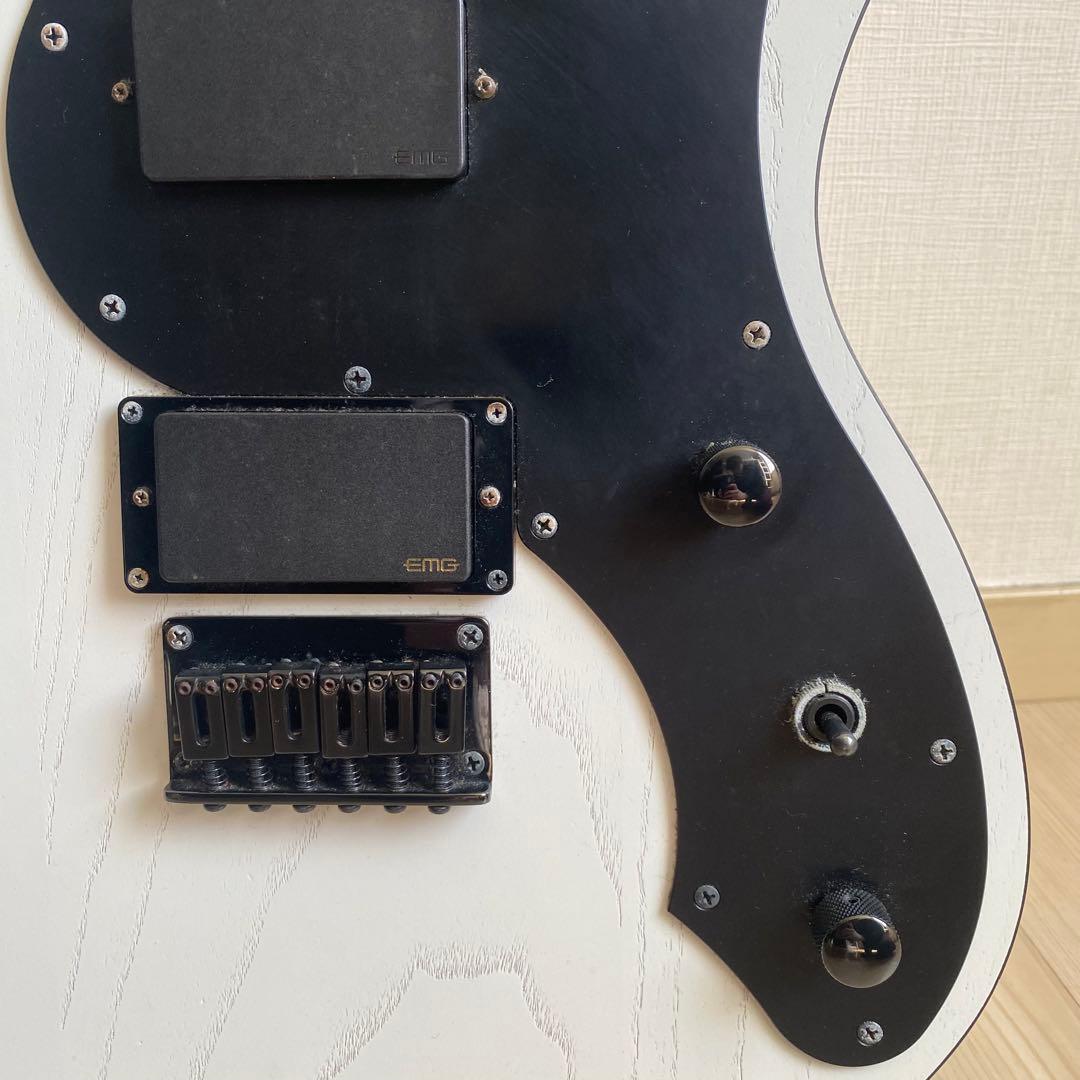 ギター JIL-ASH-DE-G FUJIGEN