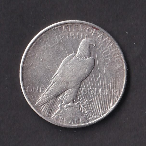 アメリカ　１ドル銀貨 ピースダラ