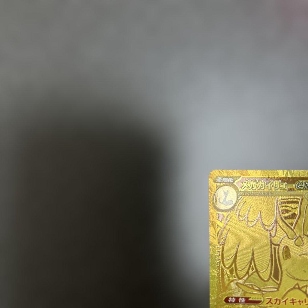 メガカイリューex mur 汎用　ゲリラ