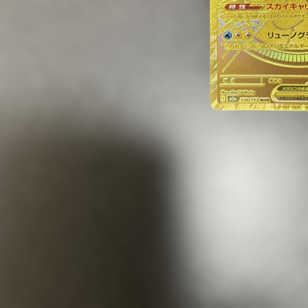 メガカイリューex mur 汎用　ゲリラ