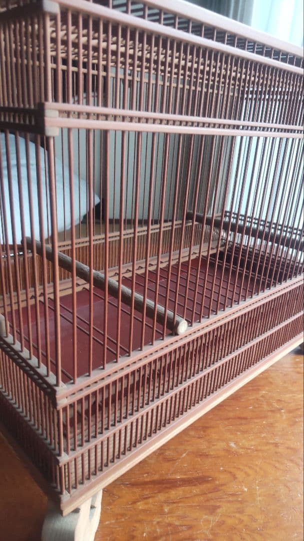 メジロ、ウグイス和鳥籠