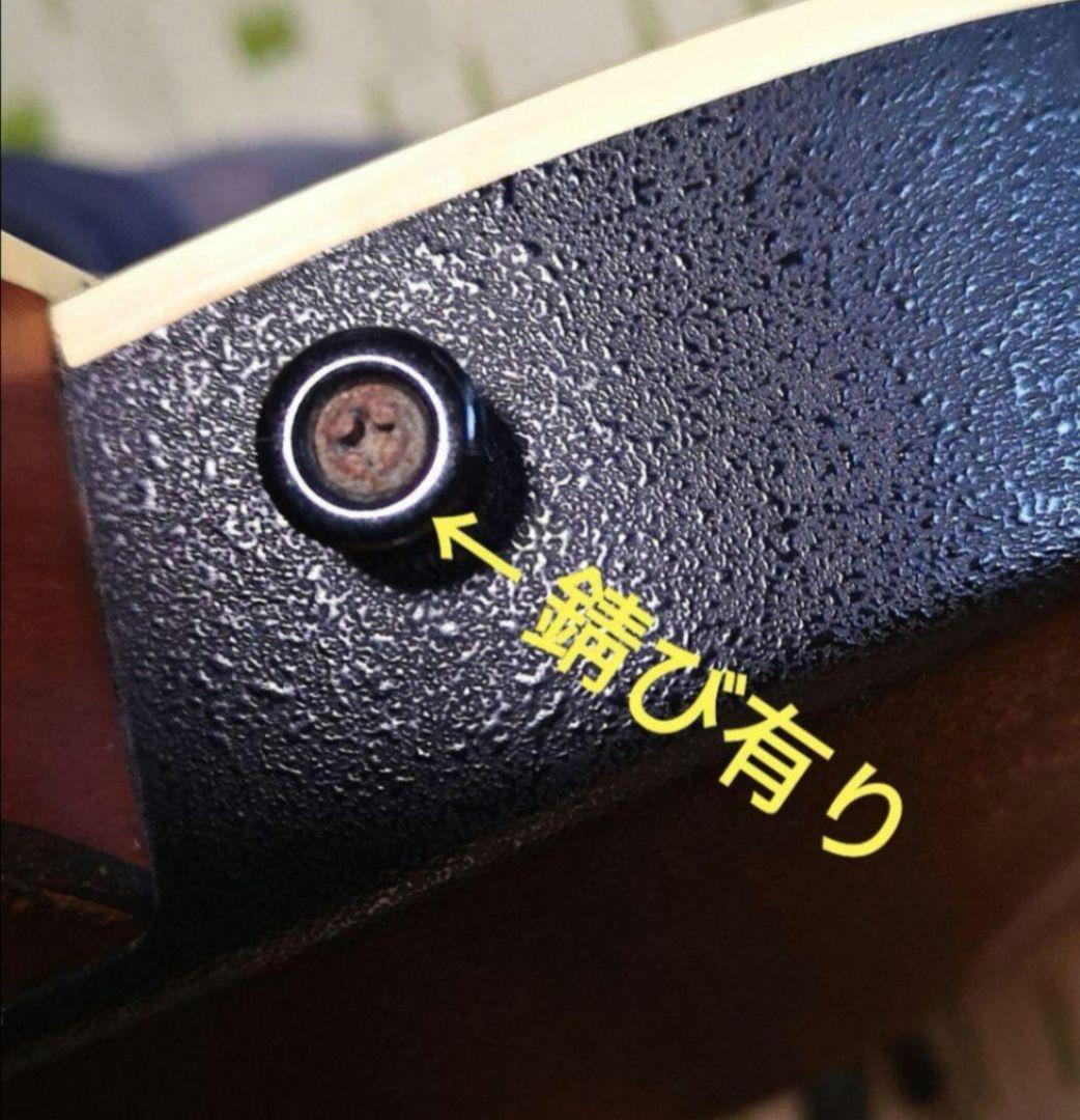 ♦️超レアギター♦️ ProMartin エレアコ EA350BLS ①