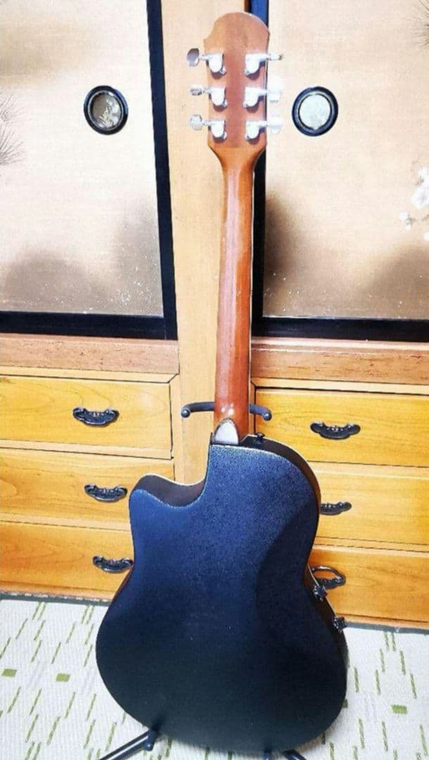 ♦️超レアギター♦️ ProMartin エレアコ EA350BLS ①