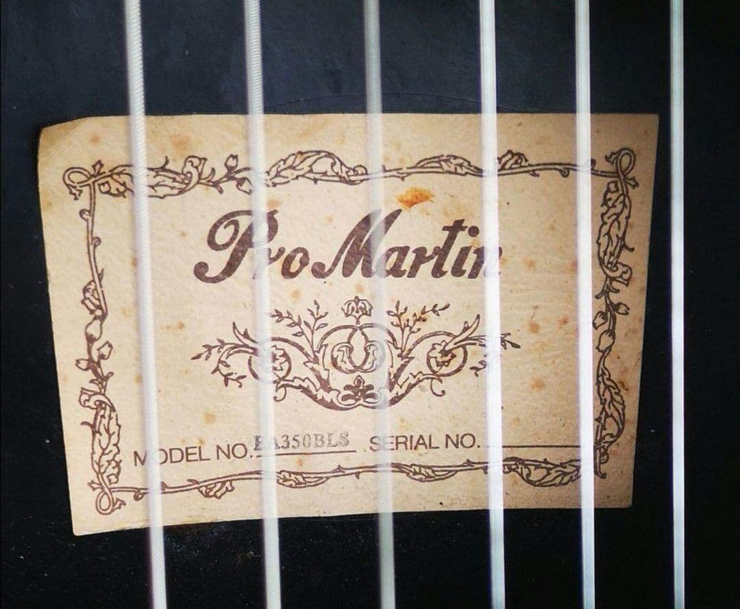 ♦️超レアギター♦️ ProMartin エレアコ EA350BLS ①